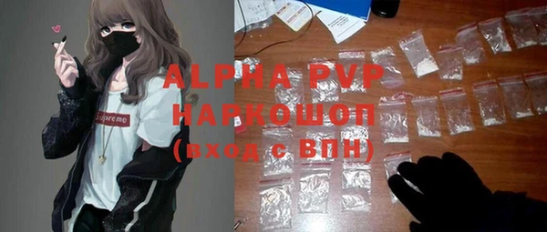прущие грибы Верея